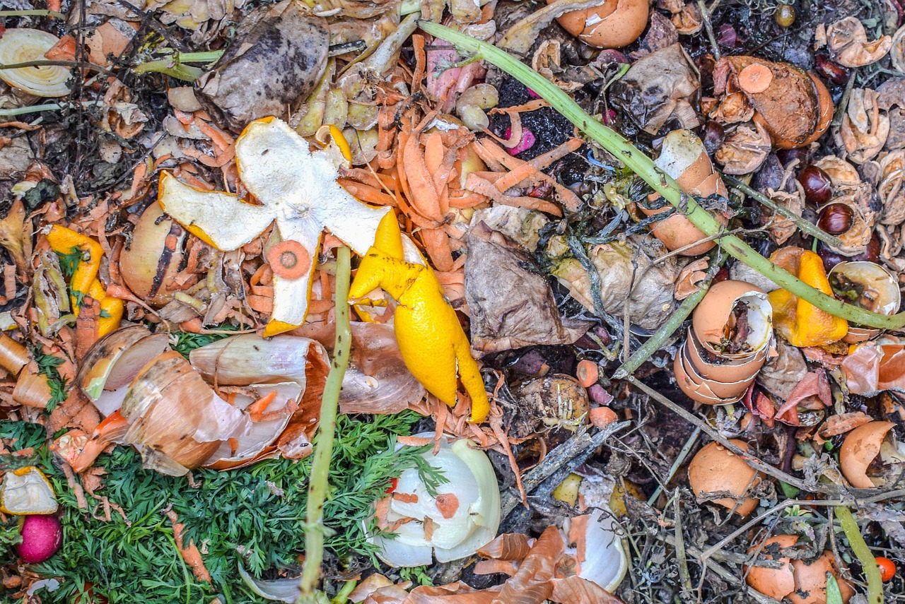 cand se pune compost in gradina