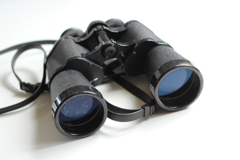 Cum se desfasoara serviciile de detectare microfoane spion, pas cu pas?