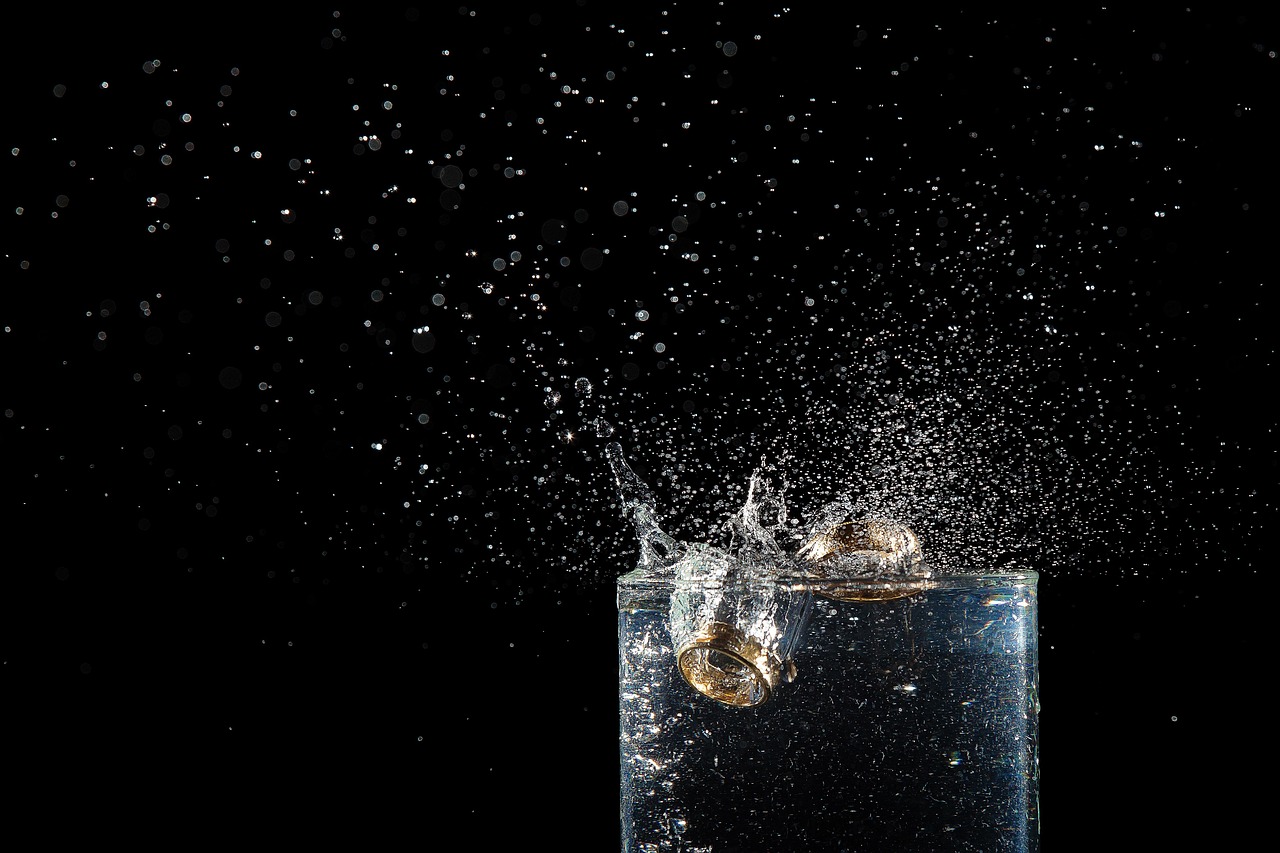 corneliu zelea codreanu nunta