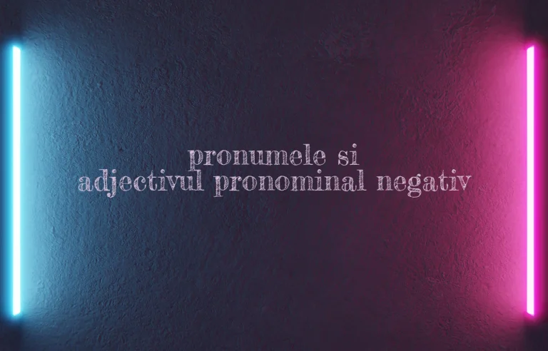 pronumele si adjectivul pronominal negativ