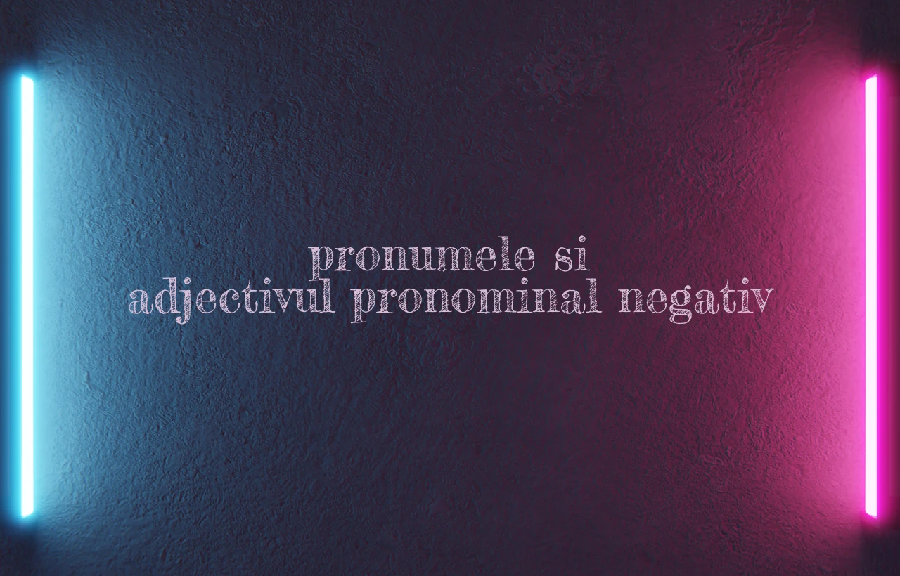 pronumele si adjectivul pronominal negativ