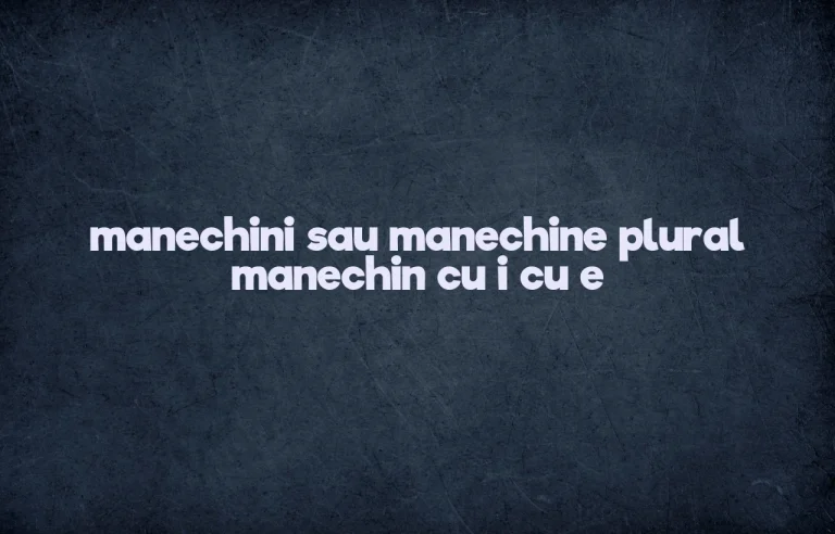 manechini sau manechine plural manechin cu i cu e