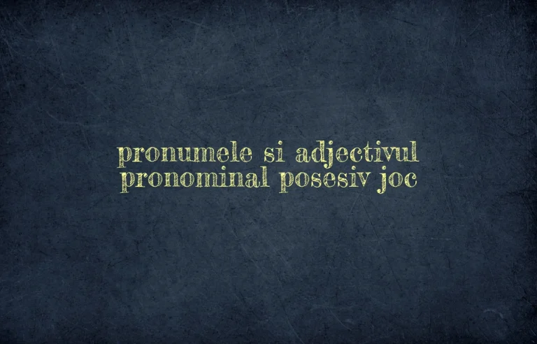 pronumele si adjectivul pronominal posesiv joc