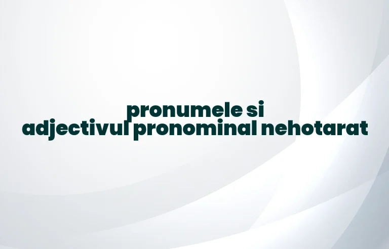 pronumele si adjectivul pronominal nehotarat