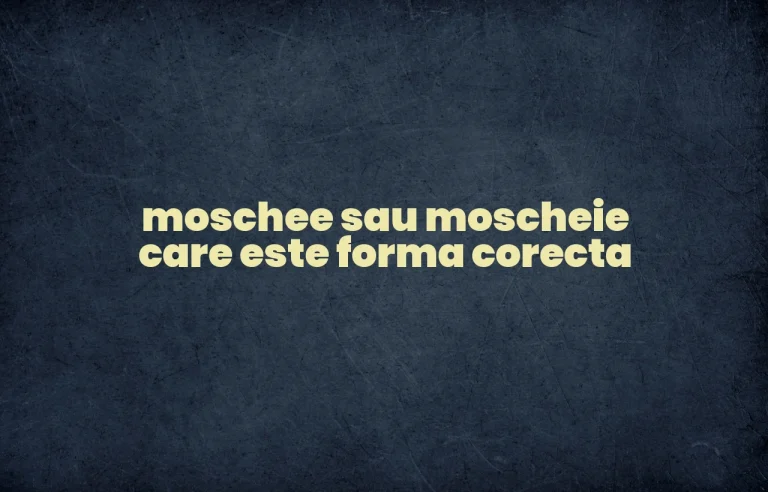 moschee sau moscheie care este forma corecta