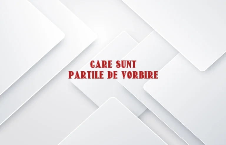 care sunt partile de vorbire