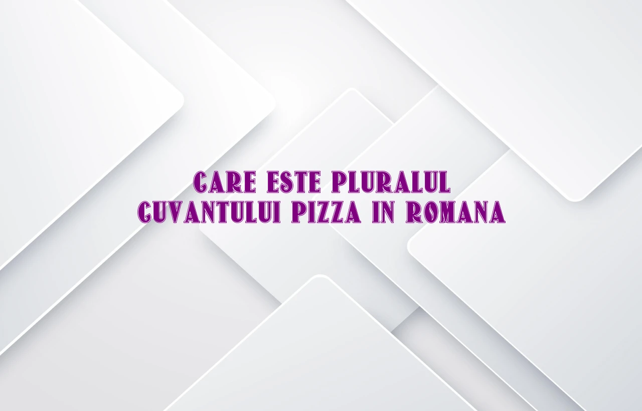 care este pluralul cuvantului pizza in romana