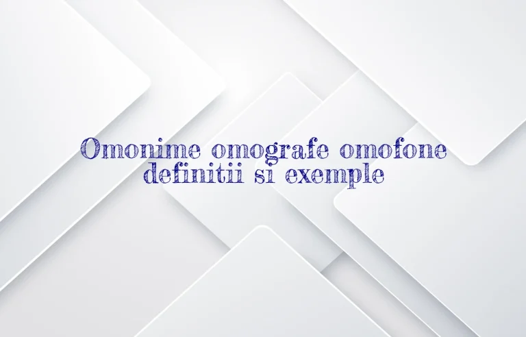 Omonime omografe omofone definitii si exemple